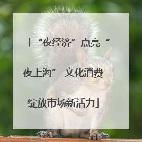 “夜经济”点亮“夜上海” 文化消费绽放市场新活力